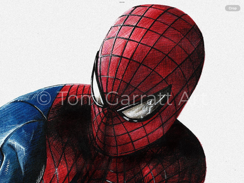 THE AMAZING SPIDER-MAN - Pen Art Print